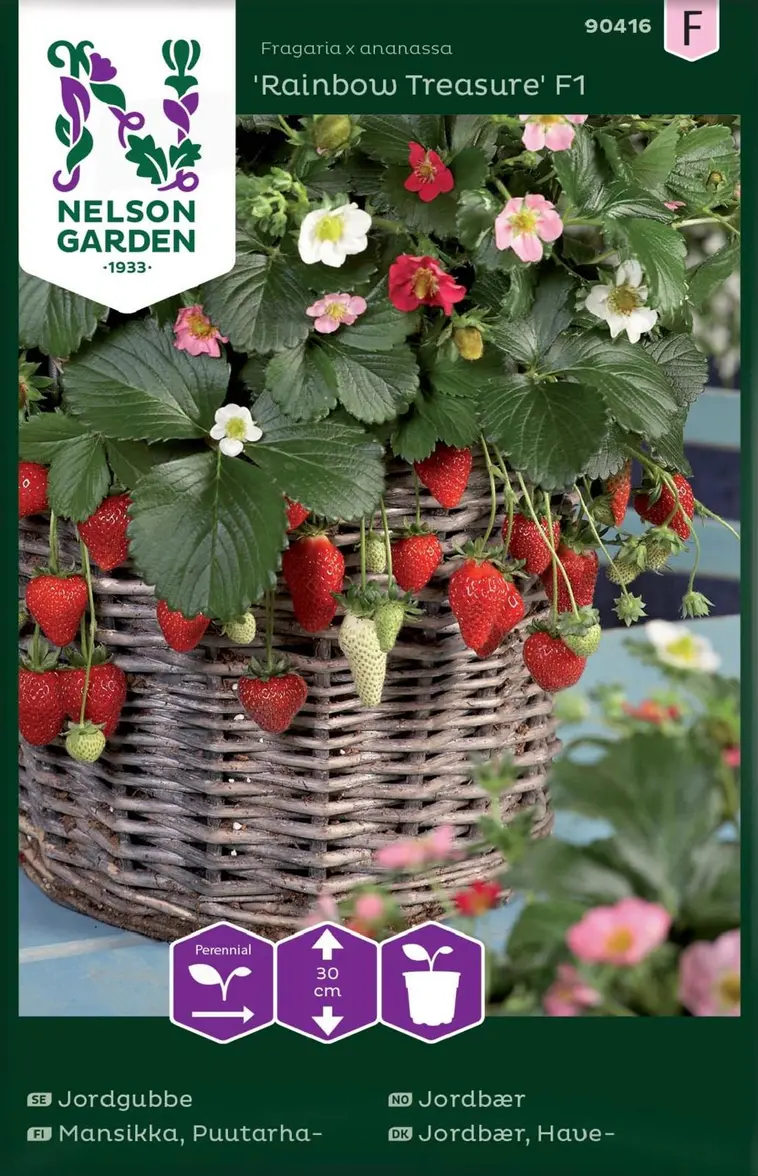 Nelson Garden Siemen Mansikka, Puutarha-, Rainbow Treasure F1 3 Nelson Garden Siemen Mansikka, Puutarha-, Rainbow Treasure F1