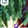 Nelson Garden Siemen Mangoldi, Lehti-, White Silver 2 -Piha myymälä 9sA08tdVa7AAUPvyQ4D2hY