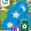 Nelson Garden Siemen Päivänsini, Heavenly Blue -Piha myymälä 9xrxUqZZKSABtHuiBW3tsz