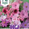 Nelson Garden Siemen Seos, Roosanvärisiä Kesäkukkia