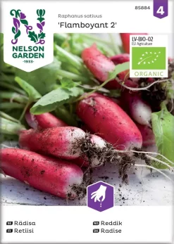 Nelson Garden Siemen Retiisi, Flamboyant 2, Luomu