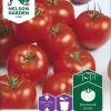 Nelson Garden Siemen Tomaatti, Shirley F1 -Piha myymälä Abd30idx4Ju94hwd07dUhY