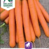 Nelson Garden Siemen Porkkana, Flyaway F1 1 Nelson Garden Siemen Porkkana, Flyaway F1 -Piha myymälä AfbitSVdajT9hJOVaWArTZ