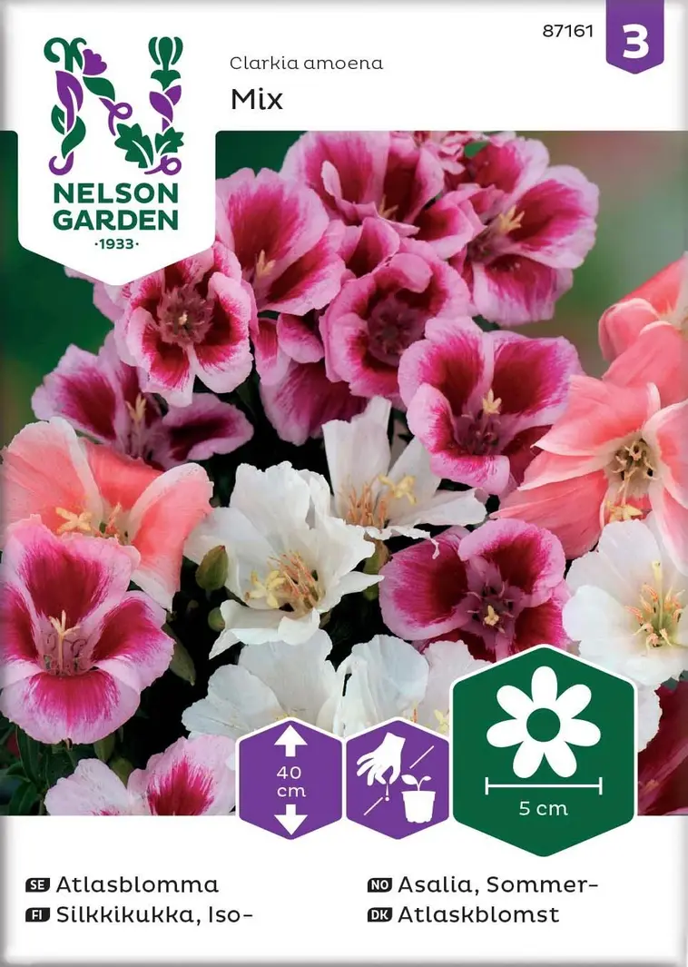 Nelson Garden Siemen Silkkikukka, Iso-, Väriseos 3 Nelson Garden Siemen Silkkikukka, Iso-, Väriseos