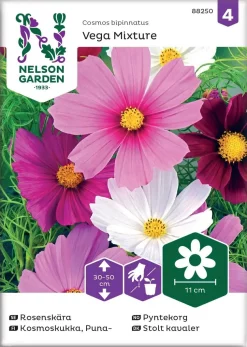Nelson Garden Siemen Kosmoskukka, Puna-, Vega Mixture