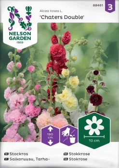 Nelson Garden Siemen Salkoruusu, Tarha-, Charter's Double