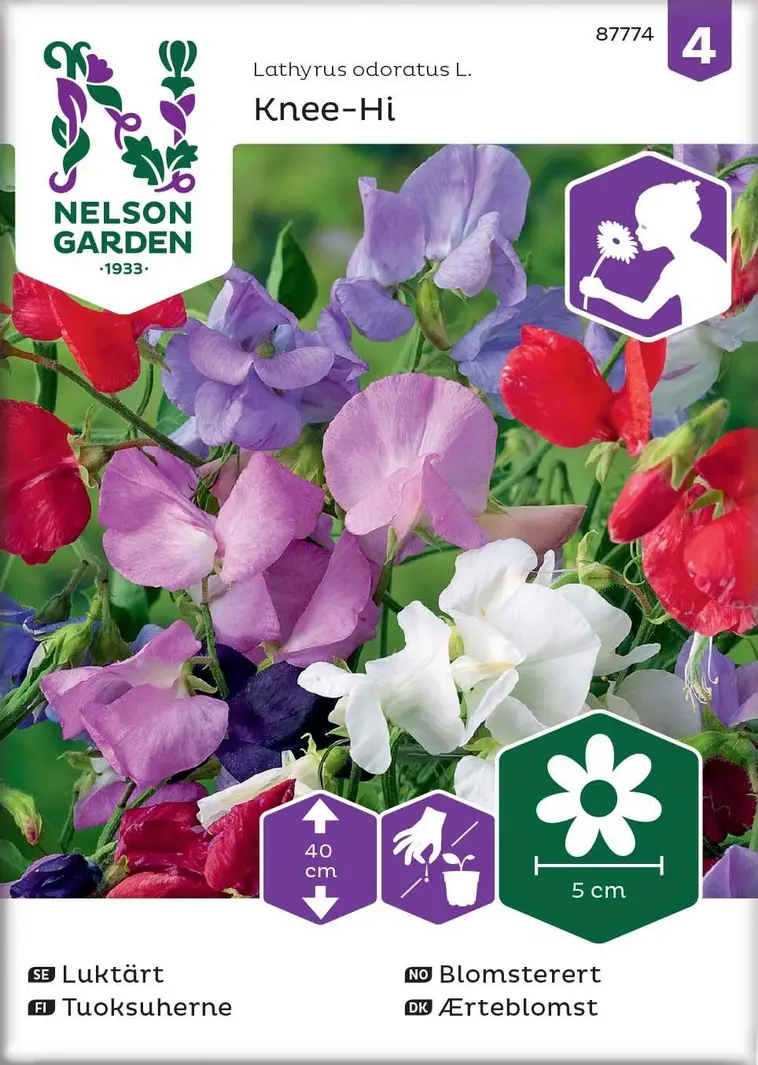 Nelson Garden Siemen Tuoksuherne, Knee-Hi, Seos 3 Nelson Garden Siemen Tuoksuherne, Knee-Hi, Seos