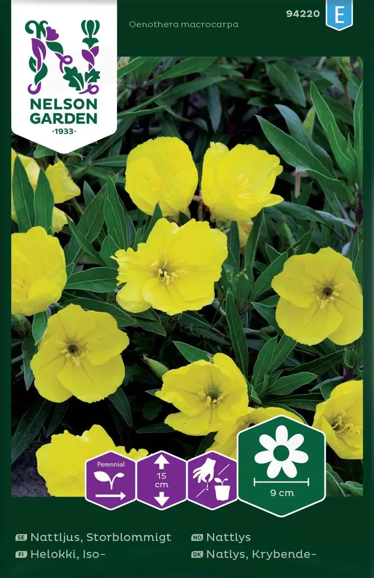 Nelson Garden Siemen Helokki, Iso- 3 Nelson Garden Siemen Helokki, Iso-