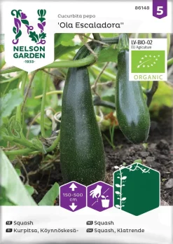 Nelson Garden Siemen Kesäkurpitsa Ola Escaladora, Luomu