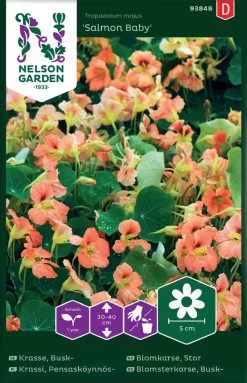 Nelson Garden Siemen Krassi, Pensasköynnös-, Salmon Baby