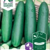 Nelson Garden Siemen Kurkku, Avomaan-, Moneta, Pitkä -Piha myymälä BSZdNdXmapO8sRbD3KjJUN