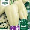 Nelson Garden Siemen Paprika, Vihannes-, Amyka F1 2 Nelson Garden Siemen Paprika, Vihannes-, Amyka F1 -Piha myymälä Be4HUMWh4qT9ebzOIaDK D