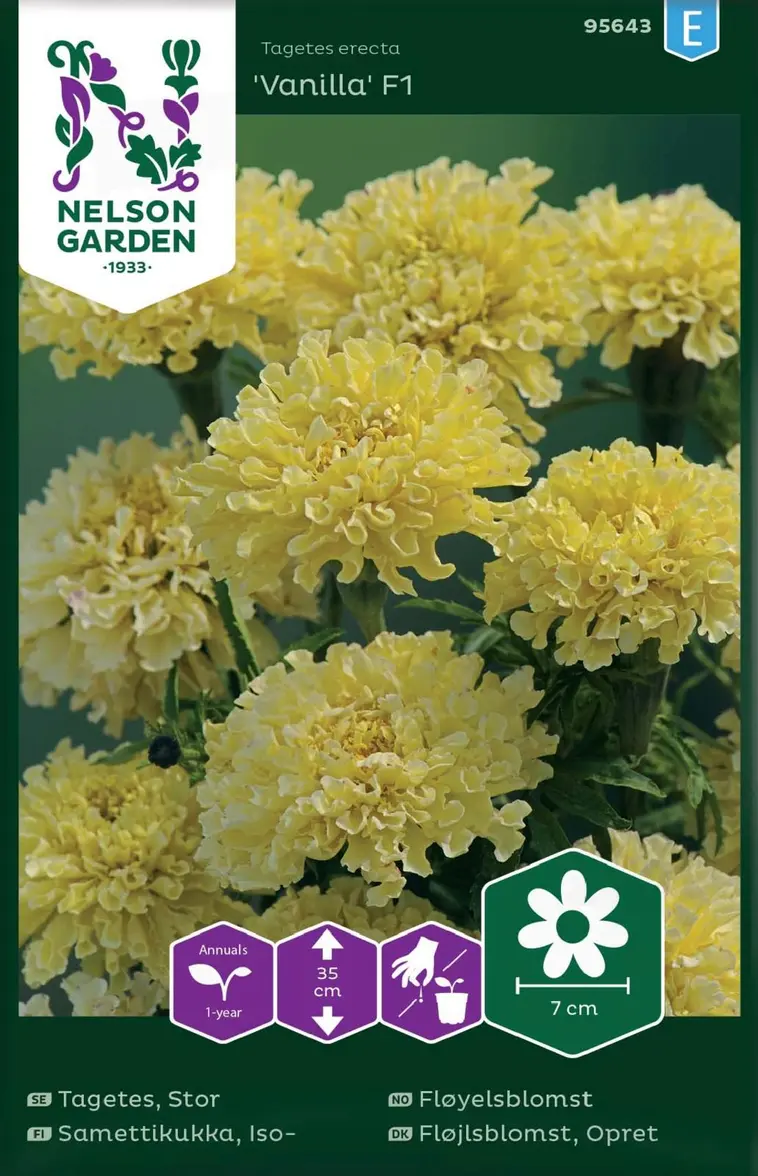 Nelson Garden Siemen Samettikukka, Iso-, Vanilla F1 3 Nelson Garden Siemen Samettikukka, Iso-, Vanilla F1