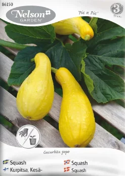 Nelson Garden Siemen Kurpitsa, Kesä-, Zucchini/Pic N Pic