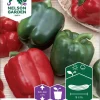Nelson Garden Siemen Paprika, Vihannes-, California Wonder -Piha myymälä Bo2PESci4ax8eG1XHk12EC