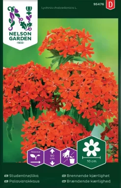 Nelson Garden Siemen Palavarakkaus