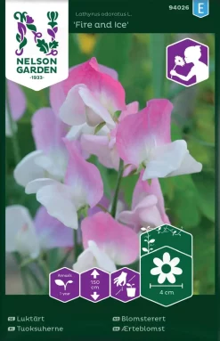 Nelson Garden Siemen Tuoksuherne, Fire And Ice