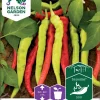 Nelson Garden Siemen Paprika, Mauste-, Lombardo -Piha myymälä CBg2B9hPK9eATEFuj8EKXr