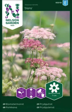 Nelson Garden Siemen Porkkana, Rikka-, Dara