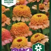 Nelson Garden Siemen Tsinnia, Iso-, Zinderella Peach 2 Nelson Garden Siemen Tsinnia, Iso-, Zinderella Peach -Piha myymälä CNeeVT8XquSB2ed3Ixvfx6