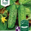 Nelson Garden Siemen Kurkku, Avomaan-, Vert Petit De Paris -Piha myymälä CPPnX2SBK7z92oIWcCyNXy