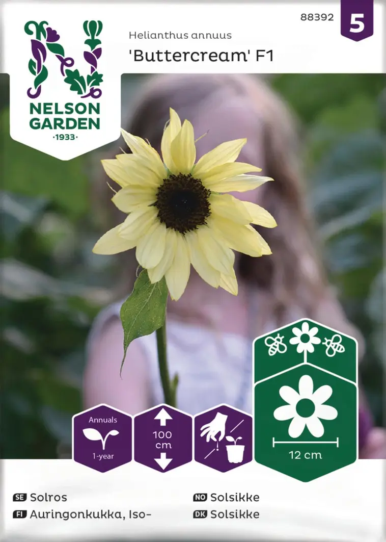 Nelson Garden Siemen Auringonkukka, Kääpiö-, Buttercream F1 3 Nelson Garden Siemen Auringonkukka, Kääpiö-, Buttercream F1