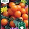 Nelson Garden Siemen Tomaatti, Kirsikka-, Sungold F1 2 Nelson Garden Siemen Tomaatti, Kirsikka-, Sungold F1 -Piha myymälä D7aByoAM4N48w63S0CTd2a
