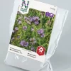 Nelson Garden Siemen Aitohunajakukka 250g -Piha myymälä D8CgAy3 KI9BndR6gAJuxG