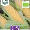 Nelson Garden Siemen Maissi, Sokeri-, Golden Bantam, Luomu -Piha myymälä DRrbLLTiqWn837lGpmhMjz