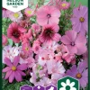 Nelson Garden Siemen Seos, Roosanvärisiä Kesäkukkia -Piha myymälä DUNaIAqyq7Y8JupLHn7 PQ