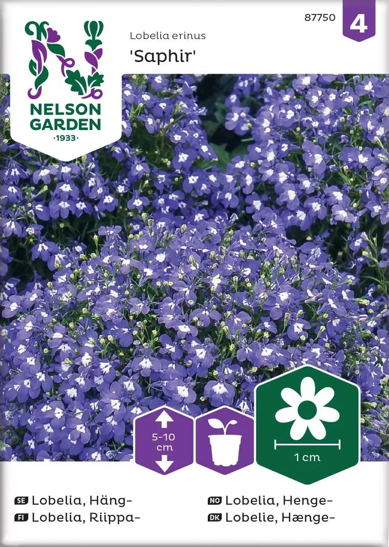 Nelson Garden Siemen Lobelia, Riippa-, Saphir 3 Nelson Garden Siemen Lobelia, Riippa-, Saphir