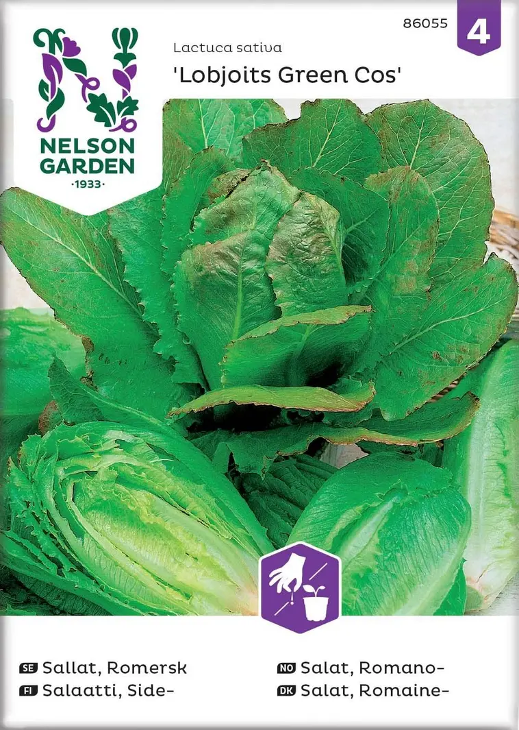 Nelson Garden Siemen Salaatti, Side-, Lobjoits Green Cos 3 Nelson Garden Siemen Salaatti, Side-, Lobjoits Green Cos