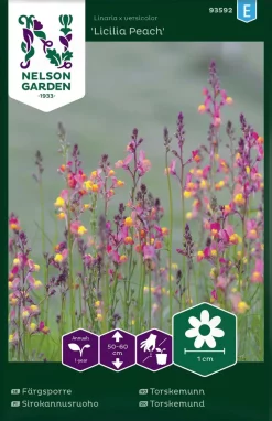 Nelson Garden Siemen Sirokannusruoho, Licilia Peach