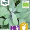 Nelson Garden Siemen Salvia, Ryyti-, Luomu 1 Nelson Garden Siemen Salvia, Ryyti-, Luomu -Piha myymälä E0ci43MnKCSBtNsL5jCinf