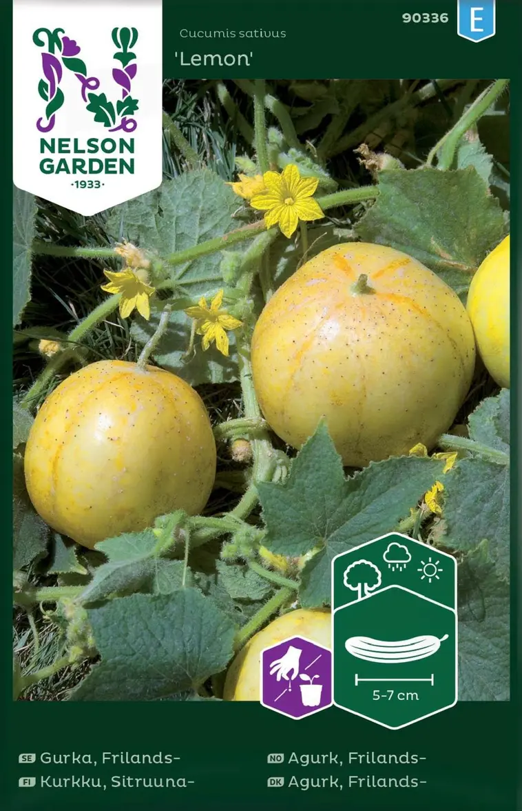 Nelson Garden Siemen Kurkku, Sitruuna-, Lemon 3 Nelson Garden Siemen Kurkku, Sitruuna-, Lemon