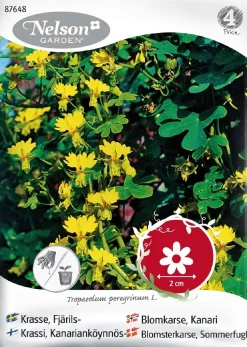 Nelson Garden Siemen Krassi, Kanarianköynnös-