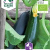 Nelson Garden Siemen Kurpitsa, Kesä-, Black Beauty, Luomu -Piha myymälä EC9fvC7U4z B1ayo2ssGTb