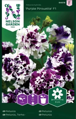 Nelson Garden Siemen Petunia,Tarha-,Pur.Pirouette F1.Kerrottu