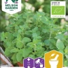 Nelson Garden Siemen Oregano/ Mäkimeirami, Luomu 1 Nelson Garden Siemen Oregano/ Mäkimeirami, Luomu -Piha myymälä EiQqsGZZKLKAoJONXUSn6t