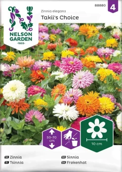 Nelson Garden Siemen Tsinnia, Iso-, Takii´s Choice