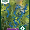 Nelson Garden Siemen Salvia, Sini-, Blue Angel -Piha myymälä Eu93p6YqqiR8gAPxiApUKm