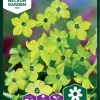 Nelson Garden Siemen Tupakka, Koriste-, Lime Green -Piha myymälä EuAfEIp9axzBar0yKR9y5Y