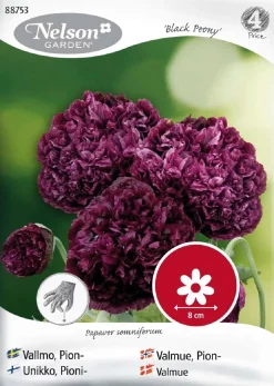 Nelson Garden Siemen Unikko, Pioni,- Black Peony
