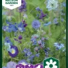 Nelson Garden Siemen Seos, Sinisiä Kesäkukkia