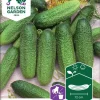 Nelson Garden Siemen Kurkku, Avomaan-, Profi F1 -Piha myymälä EzQQXfso4 s8dtXpTgtd L