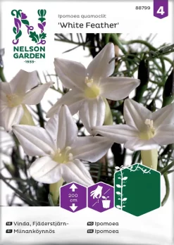 Nelson Garden Siemen Miinanköynnös, White Feather