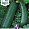 Nelson Garden Siemen Kurpitsa, Kesä-, Zucchini/Diamant F1 -Piha myymälä FDBPA2DHKmV92XdTyiYdJz