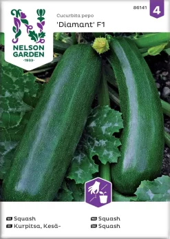 Nelson Garden Siemen Kurpitsa, Kesä-, Zucchini/Diamant F1
