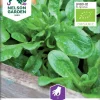 Nelson Garden Siemen Salaattivuonankaali, Vit, Luomu -Piha myymälä FEj5WdgQqqjBEvw6J0c3Xc