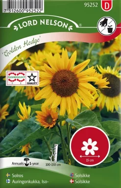 Nelson Garden Siemen Auringonkukka, Iso-, Golden Hedge